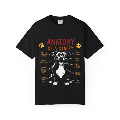 Anatomy of a Staffy T-Shirt